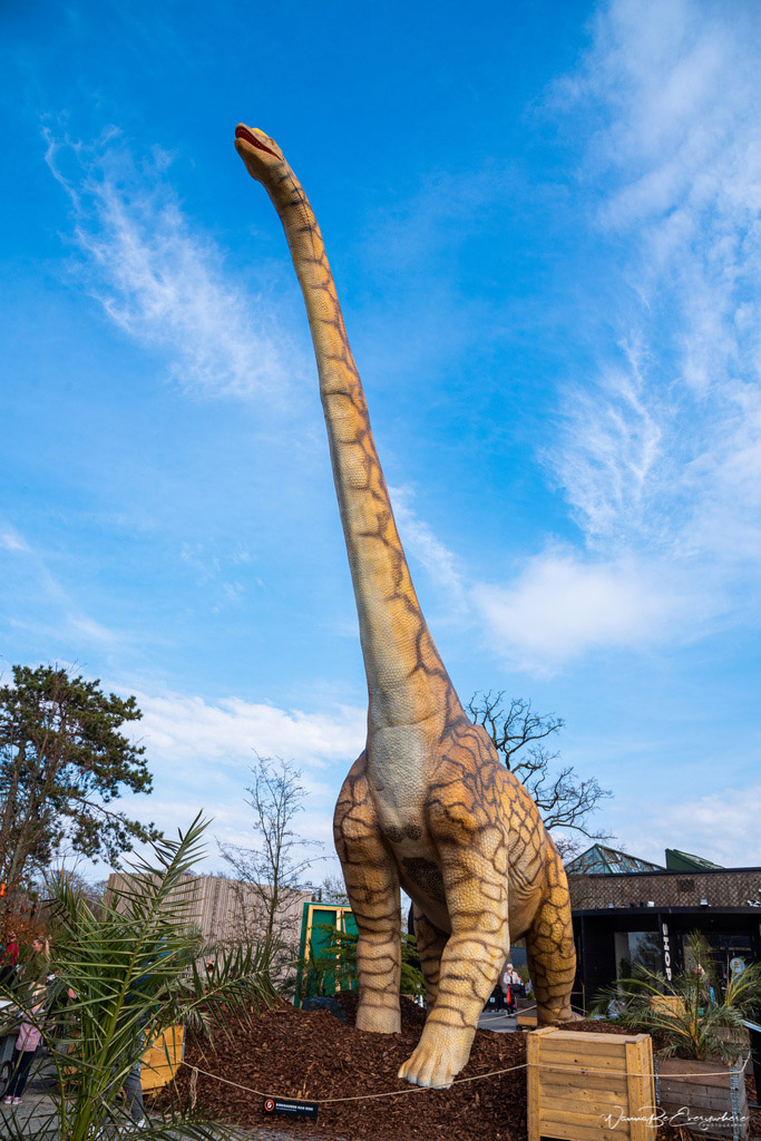 丹麥哥本哈根動物園