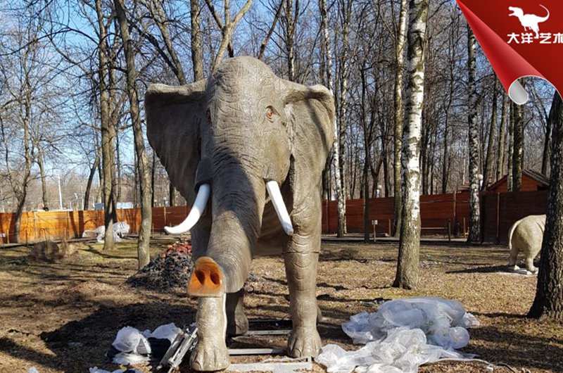 白俄羅斯動物公園安裝現(xiàn)場